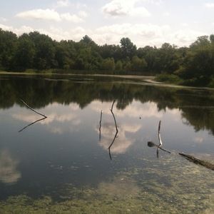 Meet your Posher, Steven